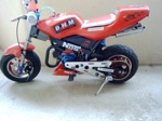 Pocket racing Street Bike TNT