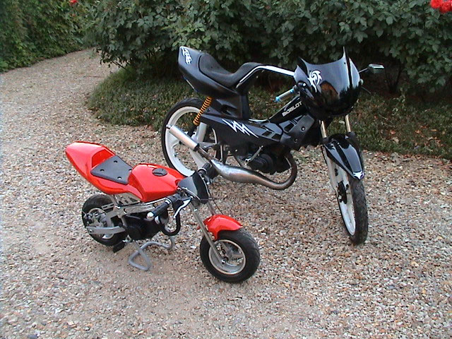 Pocket bike à Robin - Pocketcustom